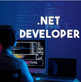 Top 5 Things .Net Developers Can Do for Your Business